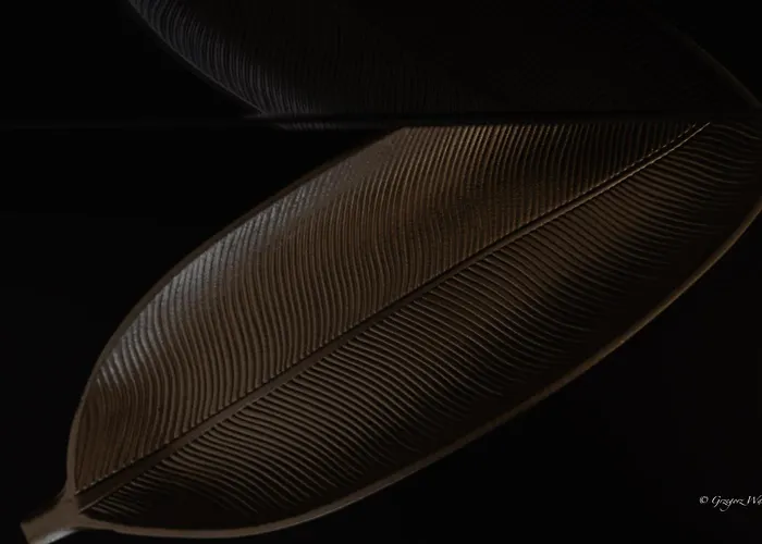 W Karkonoszach - Klimatyzacja, Widok Na Sniezke, Obok Aquaparku, Blisko Do Wang